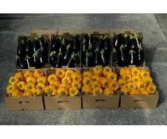 Картонный лоток под пинетку  0,500 кг и 1 кг