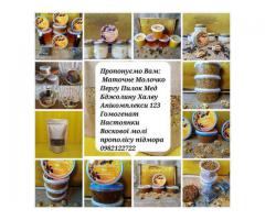 Пилок квітковий - Зображення 6/6