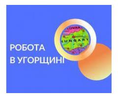 Робота в Угорщині. Робота в Європі. Работа в Венгрии. Работа в Европе