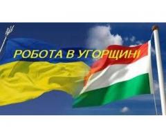 Робота в Угорщині. Робота в Європі. Работа в Венгрии. Работа в Европе