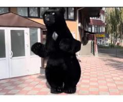 Пневмокостюм медведя - Зображення 5/12