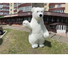 Ведмідь костюм для святкових заходів