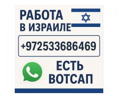 Работа в Израиле с визой и проживанием — от $3900 в месяц