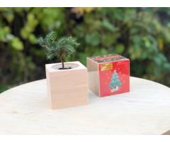 Подарунки на Миколая. Новорічні набори. DIY набори - Зображення 5/5