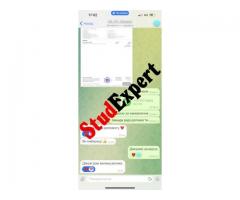 Купити висновок курсової роботи в Україні - Зображення 15/20