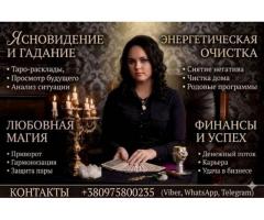 Business Astrology Dubai.